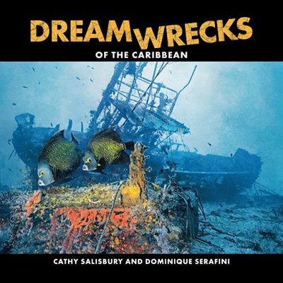 Dreamwrecks Of The Caribbean: Diving The Best Shipwrecks Of The Region - Paperback