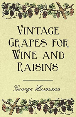 Vintage Grapes For Wine And Raisins