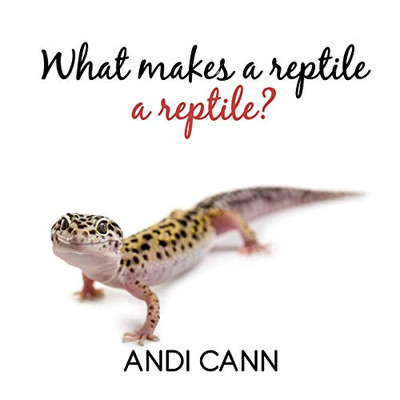 What Makes A Reptile A Reptile (Animal Classes)