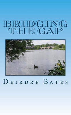 Bridging the Gap