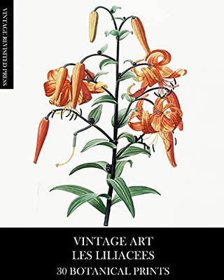 Vintage Art: Les Liliacees 30 Botanical Prints