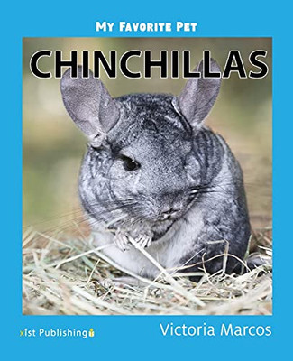 My Favorite Pet: Chinchillas