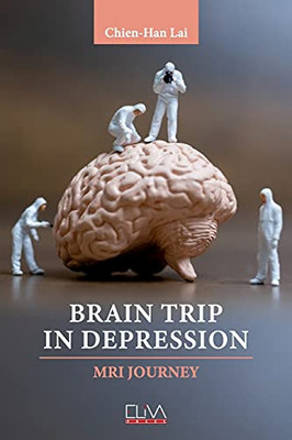 Brain Trip In Depression: Mri Journey