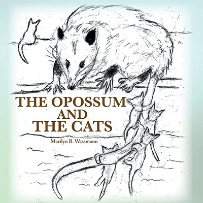 The Opossum And The Cats