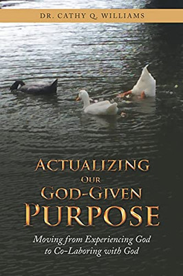 Actualizing Our God-Given Purpose: Moving From Experiencing God To Co-Laboring With God