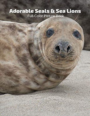 Adorable Seals & Sea Lions Full-Color Picture Book: Seals Picture Book for Children, Seniors and Alzheimer�s Patients -Mammals Wildlife Nature