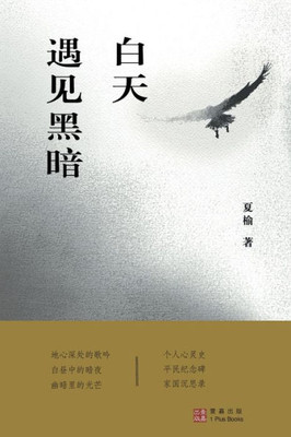 白天遇见黑暗