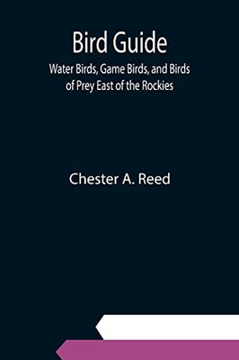 Bird Guide; Water Birds, Game Birds, And Birds Of Prey East Of The Rockies