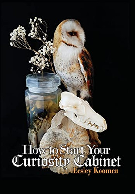 How To Start Your Curiosity Cabinet