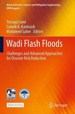 Wadi Flash Floods: Challenges And Advanced Approaches For Disaster Risk Reduction (Natural Disaster Science And Mitigation Engineering: Dpri Reports)