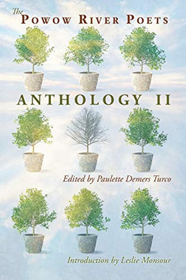 The Powow River Poets Anthology Ii