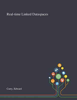 Real-time Linked Dataspaces - Paperback