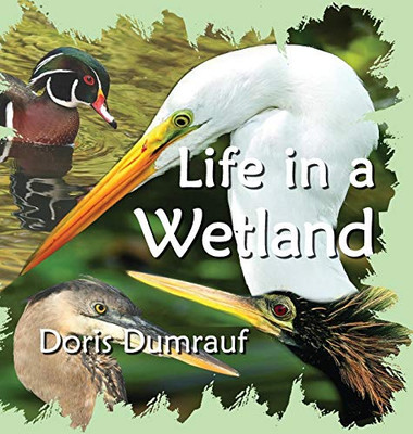 Life In A Wetland - Hardcover