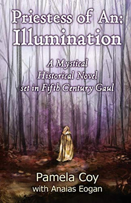 Priestess of An: Illumination: A Celtic Mystical Historical Novel