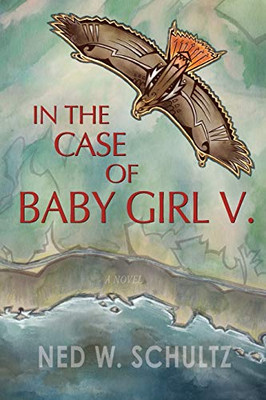 In The Case Of Baby Girl V.: A Novel