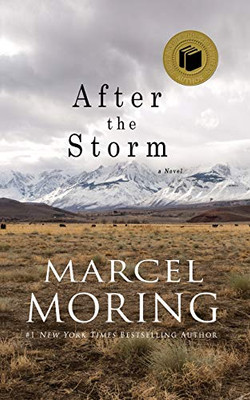 After the Storm: A Novel