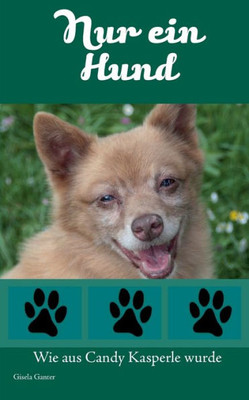 Nur ein Hund