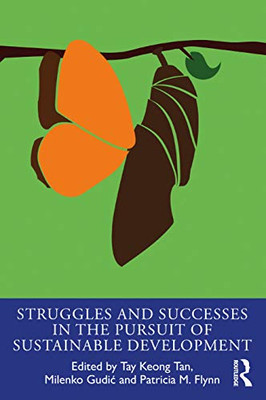 Struggles and Successes in the Pursuit of Sustainable Development (The Principles for Responsible Management Education Series) - Paperback