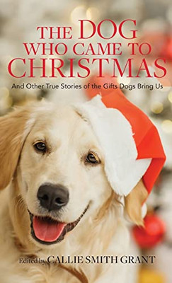 The Dog Who Came to Christmas: And Other True Stories of the Gifts Dogs Bring Us