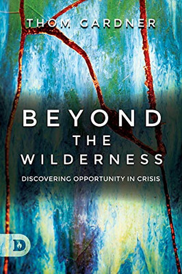 Beyond the Wilderness: Discovering Opportunity In Crisis - Paperback