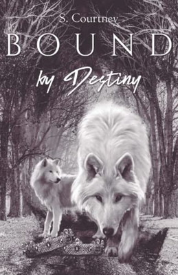 Bound by Destiny (The Bound Series)