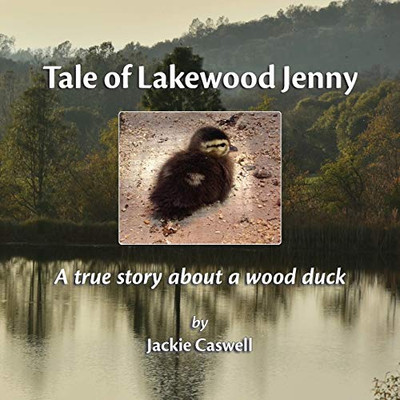 Tale of Lakewood Jenny: A true story about a wood duck - Paperback