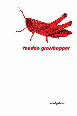 Voodoo Grasshopper: Stories