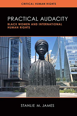 Practical Audacity: Black Women and International Human Rights (Critical Human Rights)