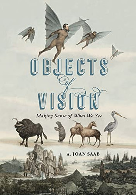 Objects of Vision: Making Sense of What We See (Perspectives on Sensory History) - Paperback