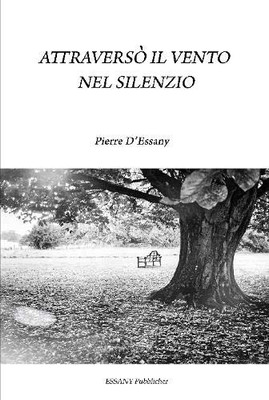 Attraversò il vento nel silenzio (Italian Edition)