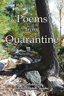 Poems from Quarantine: An Anthology of Brainstorms - Paperback