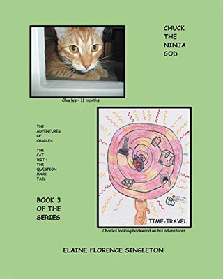 Chuck The Ninja GOD: The Adventures Of Charles The Cat With The Question Mark Tail (3) - Paperback