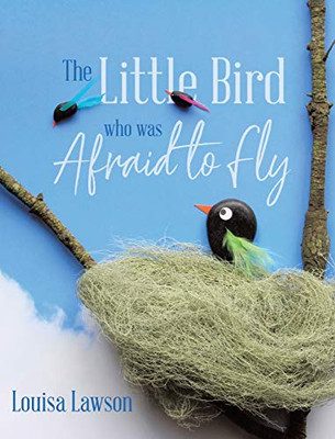 The Little Bird Who Was Afraid to Fly - Hardcover