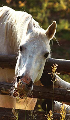 Kids Petite Equine Journal