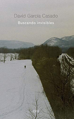 Buscando Invisibles (Spanish Edition)