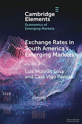 Exchange Rates in South America's Emerging Markets (Elements in the Economics of Emerging Markets)