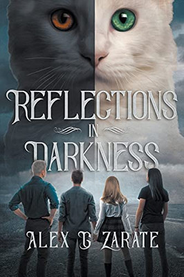 Reflections In Darkness (Connections)