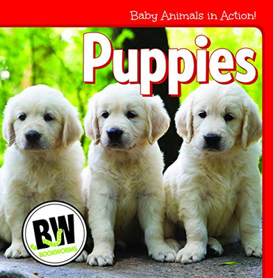 Puppies (Baby Animals in Action!)