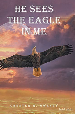 He Sees the Eagle in Me