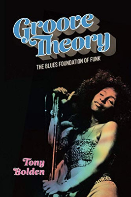 Groove Theory: The Blues Foundation of Funk (American Made Music Series)