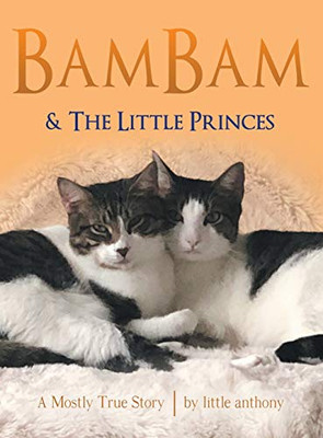 Bambam & the Little Princes: A Mostly True Story