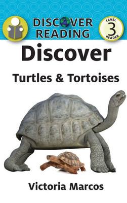 Discover Turtles & Tortoises