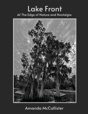 Lake Front: At the Edge of Nature and Nostalgia