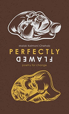 Perfectly Flawed: poetry for change
