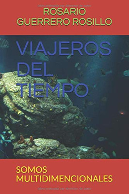 VIAJEROS DEL TIEMPO: SOMOS MULTIDIMENCIONALES (1) (Spanish Edition)