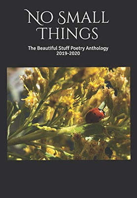 No Small Things: The Beautiful Stuff Poetry Anthology 2019-2020
