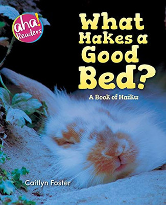 What Makes a Good Bed?: A book of Haiku (Aha! Readers)