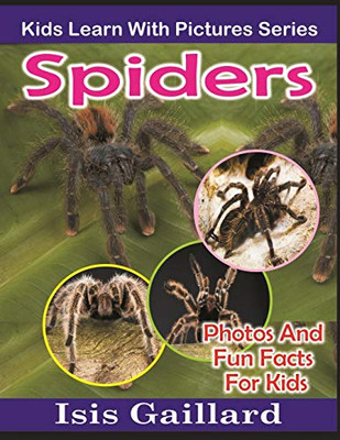 Spiders: Photos and Fun Facts for Kids (Kids Learn With Pictures)