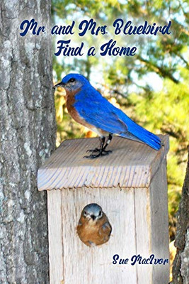 Mr. and Mrs. Bluebird Find a Home
