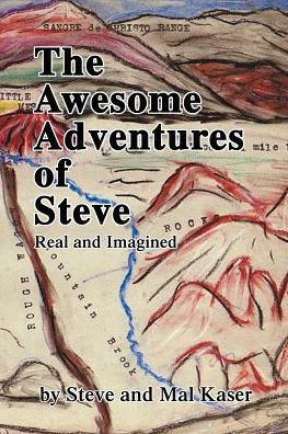 The Awesome Adventures of Steve: Real and Imagined